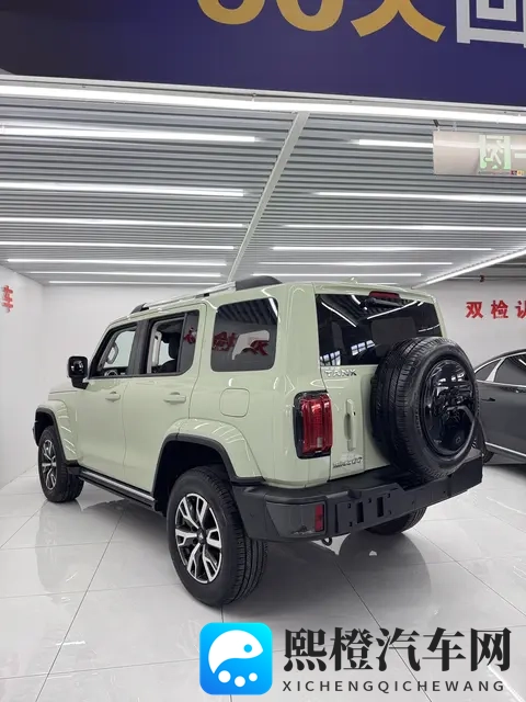 16万多拿下坦克300，圆你硬派越野梦-3