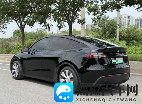 二手特斯拉Model Y购买指南：性价比，风险，未来？-1