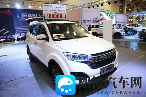 全球销量第三的中国汽车品牌。-1