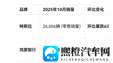 特斯拉销量大幅下滑-2