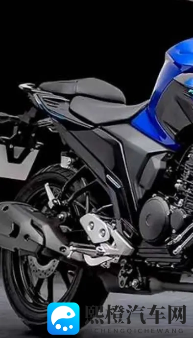 雅马哈飞致250复出 拼的不是马力 是省油能走天下的底气-2