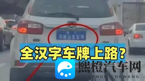 全汉字车牌上路被人举报？交警来到笑了：我真管不了-1
