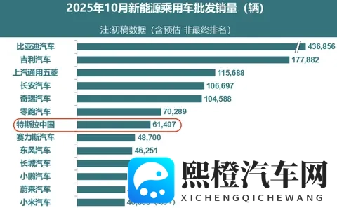特斯拉Model Y_3负责人双双出走，年内已有13大高管离职-2