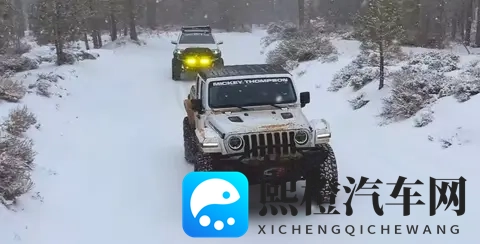 JuliaannXXX与黑人：跨界联手打造未来座驾，概念车亮相引热议-2