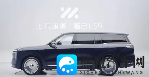 上汽旗舰智己LS9到店，看车队伍让销售倍感压力-2