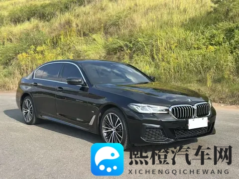 一手准新宝马5系,20T也能优雅从容,宜商宜家!-1