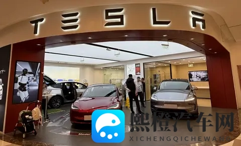 被特斯拉Model Y长续航点燃的车市：上市首天卖出上海工厂三周产能-2