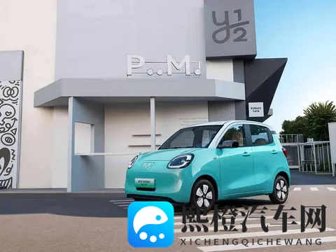 10月轿车销量解读：小、微型车名列前茅，燃油车表现抢眼-3