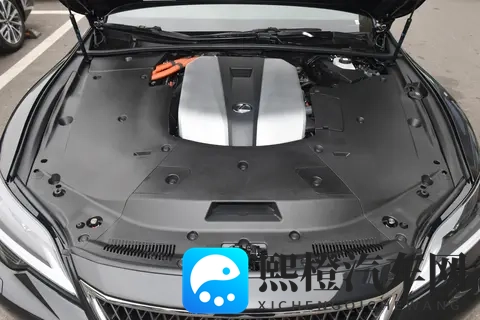 天天爱天天日：爱意绵绵，日日相伴-2