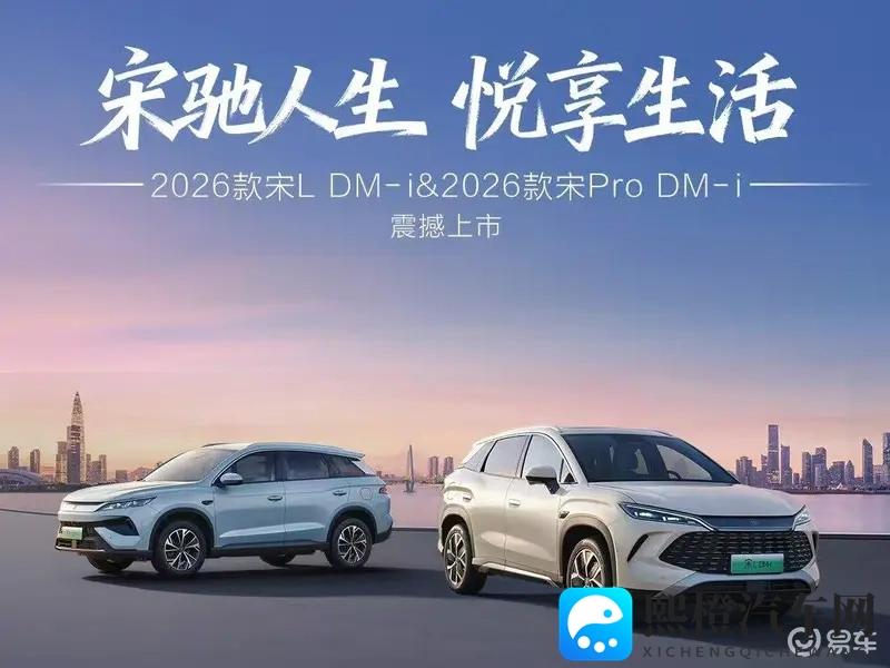 大象视频dx2回家领航：大象视频助力dx2，智能导航温馨归家-2