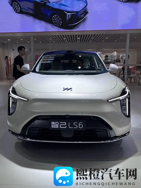 智己LS6车主：大电池长续航带后轮转向，这车性价比是真的高-3