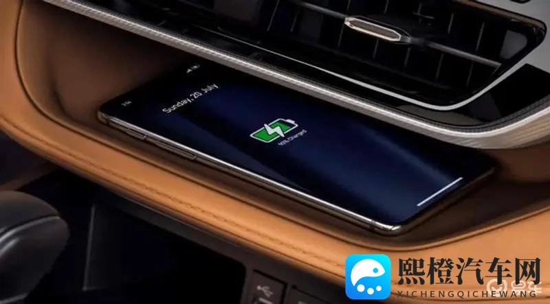 毛茸茸成熟亚洲人:亚洲风情,毛绒绒的成熟魅力-3