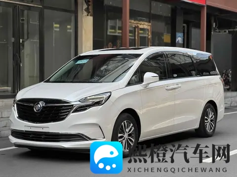 20万拿下宜商宜家神器,体验二手别克GL8陆尊!-1