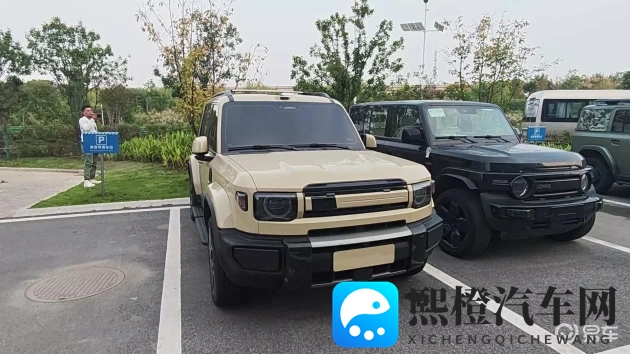 最近最好的2019中文：新能源汽车崛起，三大品牌2019年销量火爆-2