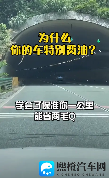 婷婷六月丁香五月：初夏花开，芬芳满园，美丽绽放-3