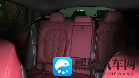 22万的差价值不值?2026款宝马X6 M60i配置曝光,音响内饰大揭秘!-3