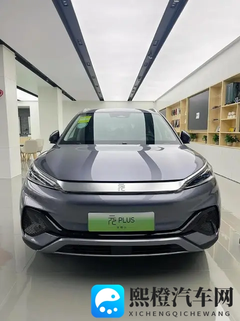 年度销量TOP10出炉，7款新能源霸榜，燃油车仅剩3席，时代真的变-3