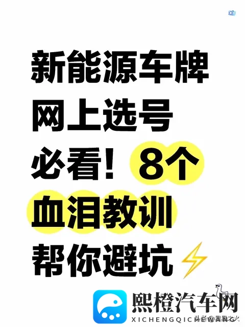 新能源网上选号必看！8个血泪教训帮你避坑-1