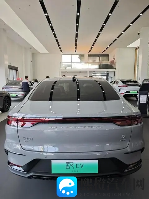 意料之外,我成了尊贵的比亚迪车主-2