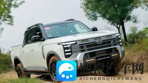 憋尿训练表M标准：驾驶新技巧：告别频繁排尿，安全行车无忧-2