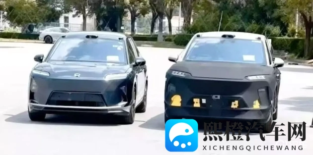 美女肌肌对肌肌：肌肤美艳，亲密互动，共享魅力时光-1