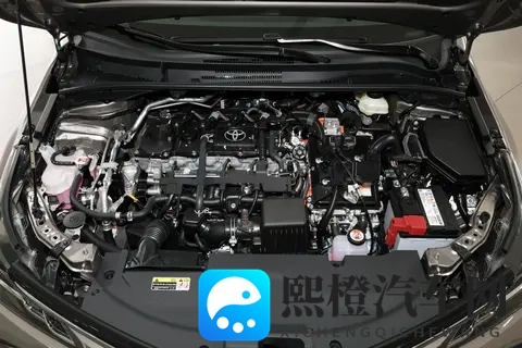 动力配置均不相同,横向对比版本差异,一文读懂卡罗拉该怎么买?-3