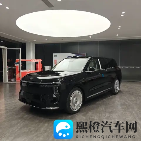 虚火下的“遥遥领先”：新能源汽车狂欢下的冷思考-1