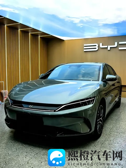 电车省“油”不省钱？6大隐藏成本，越开越肉疼-1