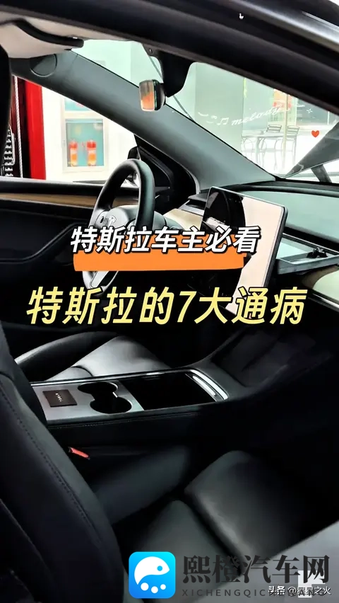 特斯拉车主必看!7大通病实测曝光-1
