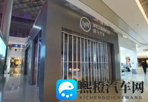 威马汽车App重新上线!-3