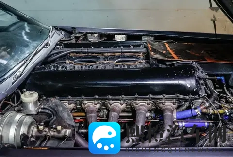 🇬🇧 “野兽”的传奇:270升V12引擎驱动的英国公路怪胎-3