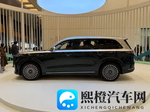 1899万元起 定位大型6座SUV 风云T11正式上市-1