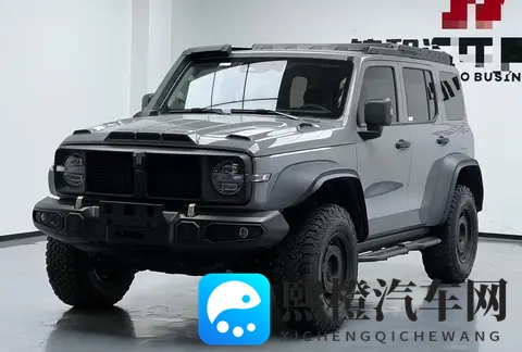 23年一手坦克300铁骑02,29万公里,圆你越野梦!-2