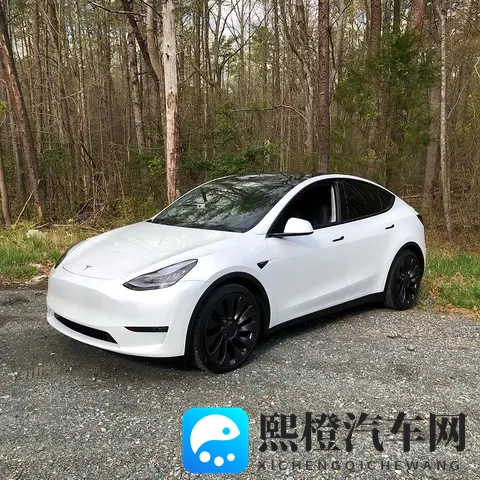 特斯拉 Model Y 新车型与国产竞品的全方位对比-2