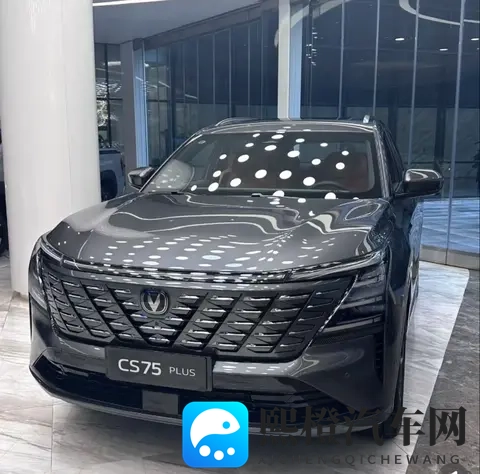 车内隐藏功能！第三个4S店都不说！-1