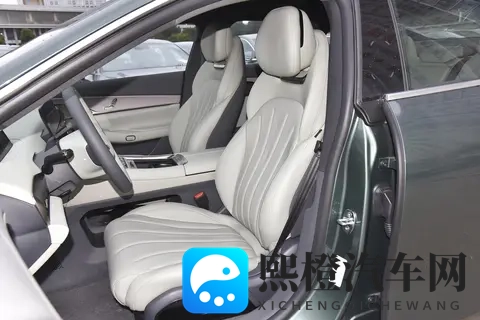 新能源车家用推荐！这车配8295芯片，空间大，安全性高，值得一看-2