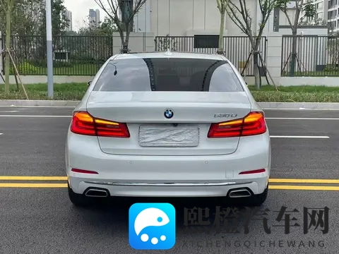 19万多拿下宝马5系，98万公里，家用代步好选择-3