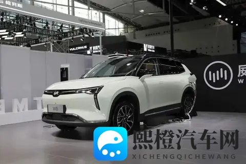 威马汽车App重新上线!-2