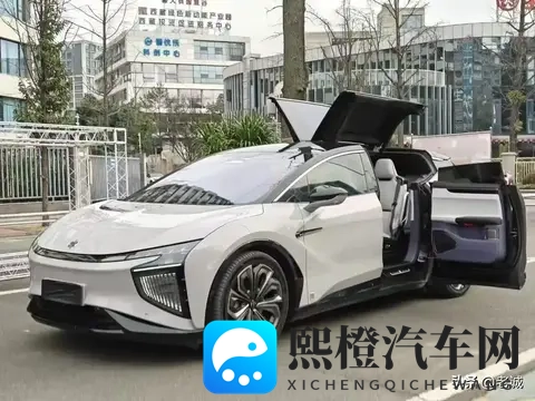 薅倒闭车企羊毛 这届年轻人赌上了-1