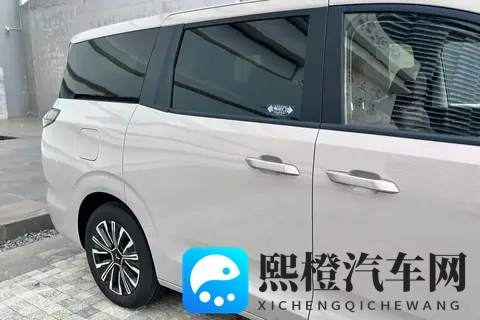 不到8万买家用大七座,油、电、混动全都有!-2