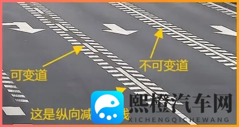 成人富二代:成年之后,家境优渥的子女-3