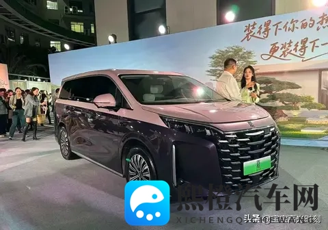 比亚迪地板价背后：车市地震里的得失与纠结-3