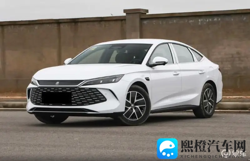 本庄优花：花中瑰宝，本庄优品绽放光彩-2