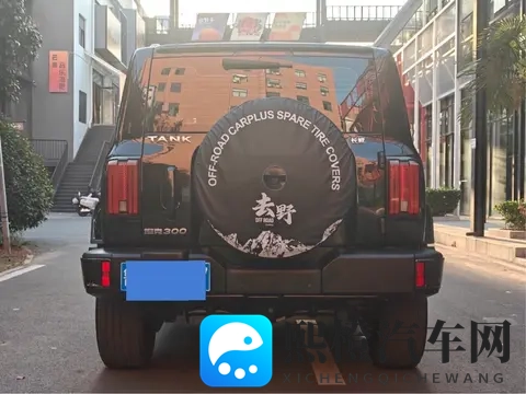 22年上牌的坦克300，21万公里，圆你越野梦-2