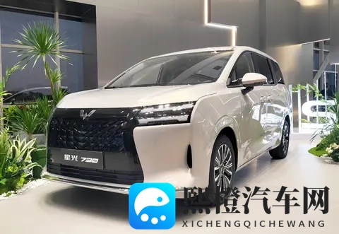 73万起,五菱星光730上市,能否成为“爆款”车型?-1