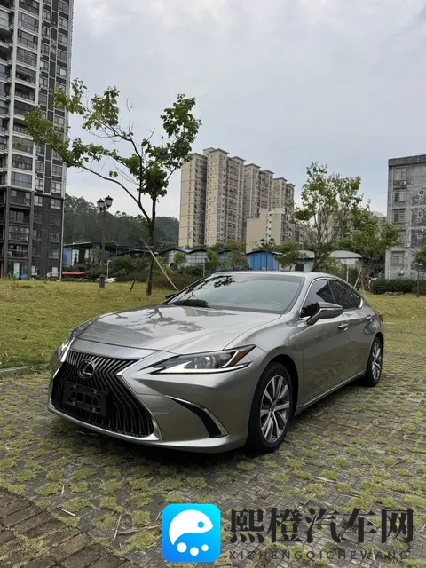 省心之选，9万公里雷克萨斯ES，198万值不值？-2