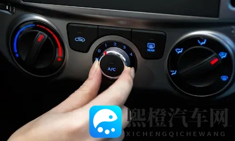 男女差差有点痛app:性别差异体验痛点应用-3