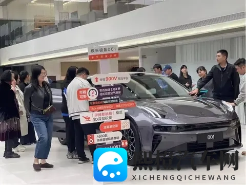 电厂  购置税变天之前，汽车公司“撒钱买量”-2