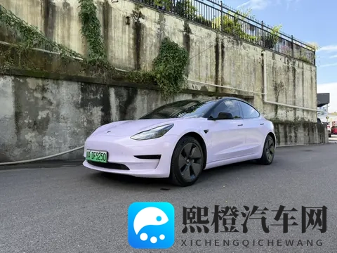 一手紫色Model3,54万公里,圆你特斯拉梦?-3