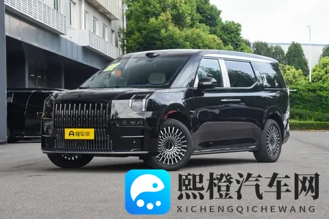 极氪 009 双 11 限时惠，多座豪华，承包家人舒心出行-1